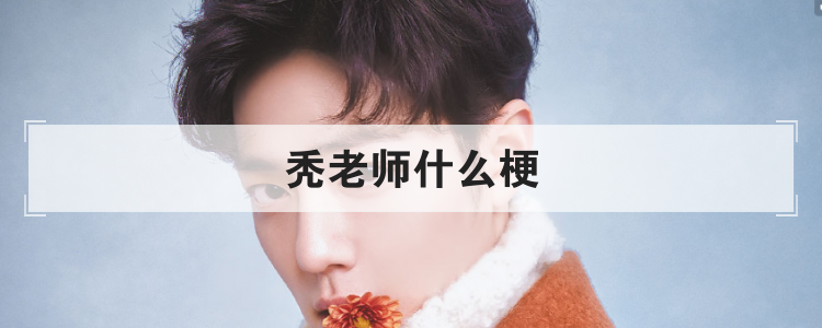 秃老师什么梗