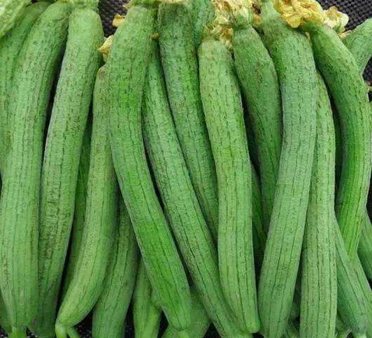 胖子夏天如何防止磨腿