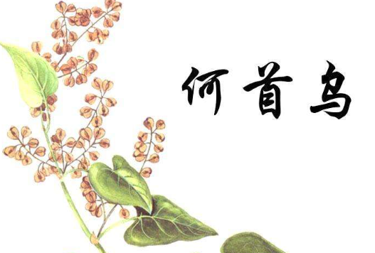 黑芝麻怎么吃养发