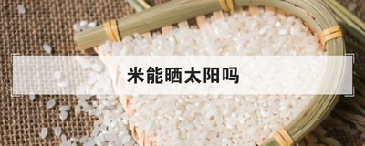 米能晒太阳吗