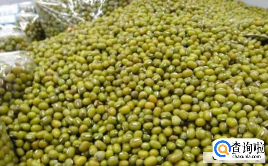 怎么判断绿豆有没有变质