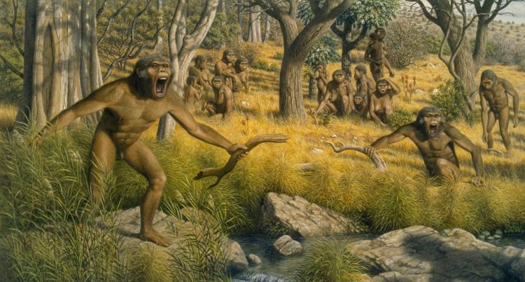 作为高等动物的人类大约出现在多少万年前