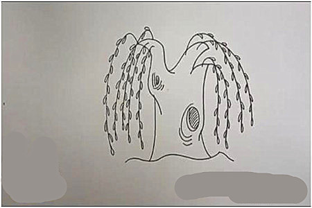 柳树简笔画