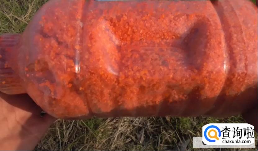 如何制作鲫鱼窝料