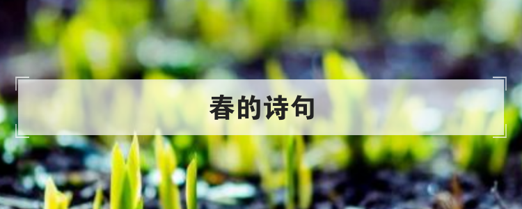 春的诗句