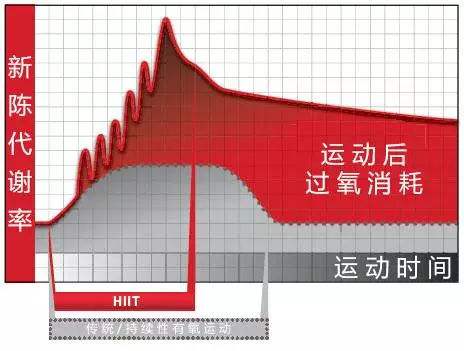 epoc是什么运动