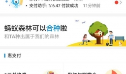 如何关闭支付宝的蚂蚁花呗功能？