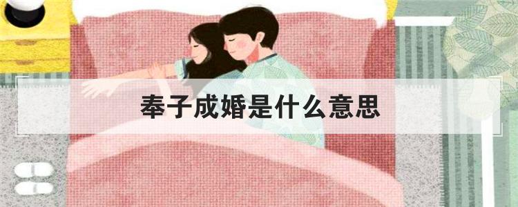 奉子成婚是什么意思