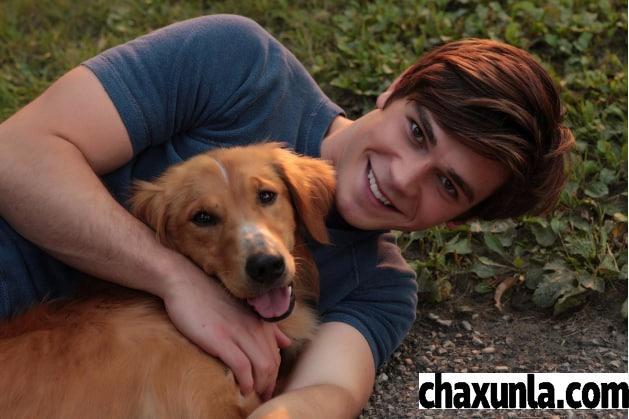 农村养狗需不需要办证