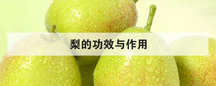 梨的功效与作用