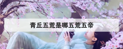 青丘五荒是哪五荒五帝