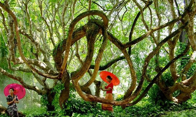 云南旅游攻略