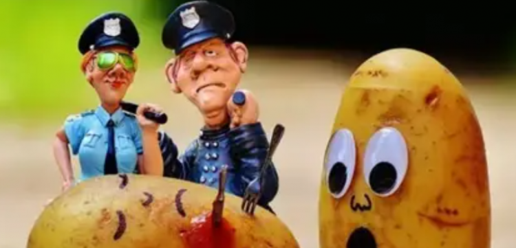 龙葵素加热会分解吗