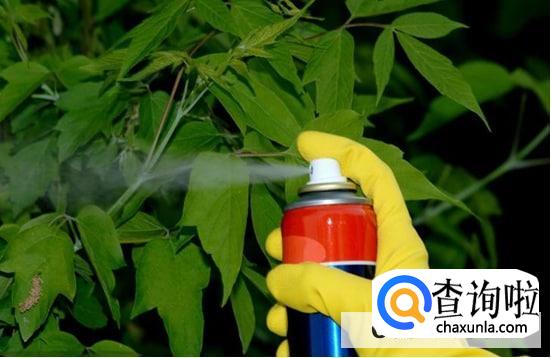 这些日常生活用品潜藏“致癌”风险