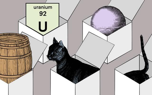 薛定谔的猫什么意思