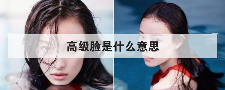 高级脸是什么意思