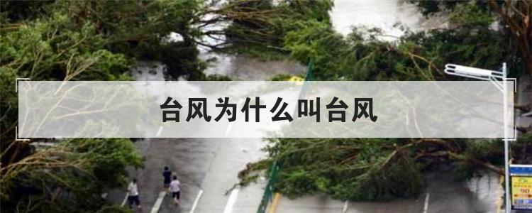 台风为什么叫台风