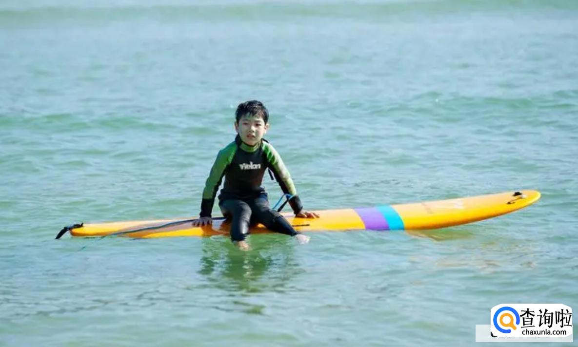 一般学冲浪多少钱