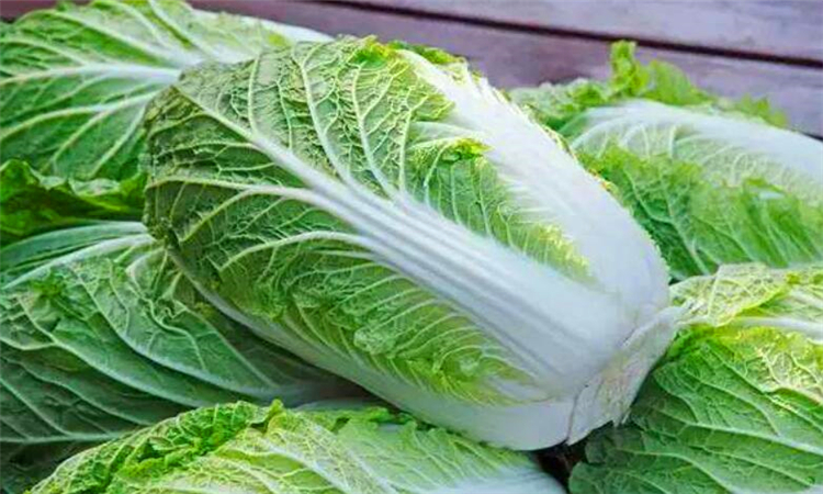 白菜会氧化吗