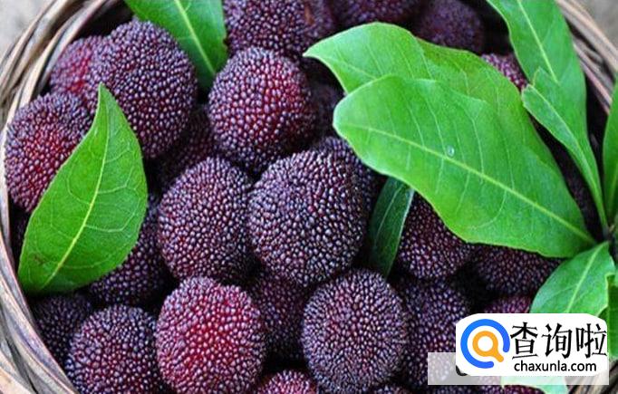 杨梅怎么看是新鲜的