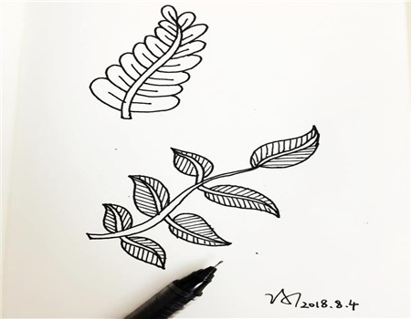 树叶简笔画