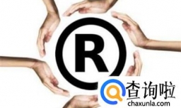 商标注册申请进度查询办法有哪些？