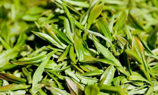 龙井茶怎么泡