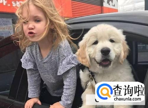 女生养大型犬可以吗