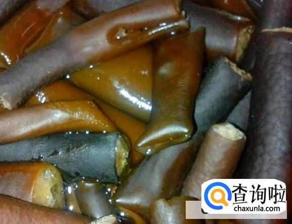 植物海笋和动物海笋的区别