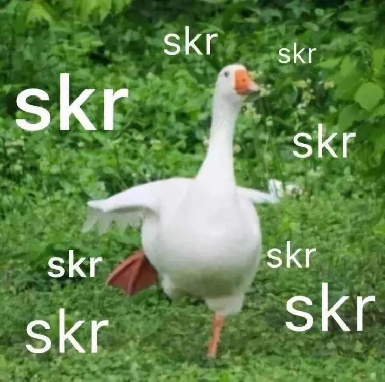 skr是什么意思