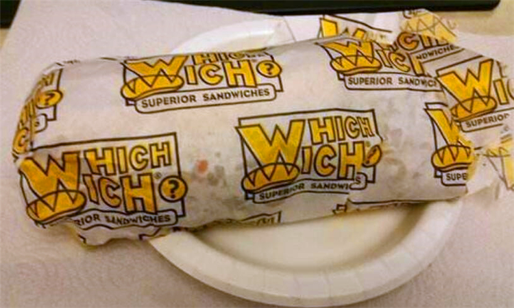 which是什么意思