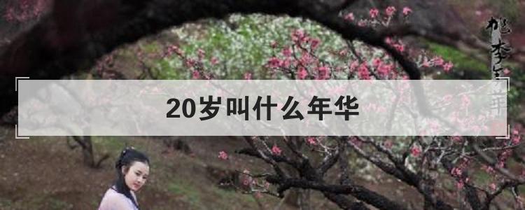 20岁叫什么年华