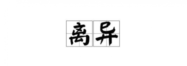 离异是什么意思