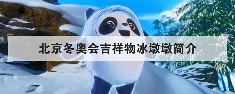 北京冬奥会吉祥物冰墩墩简介