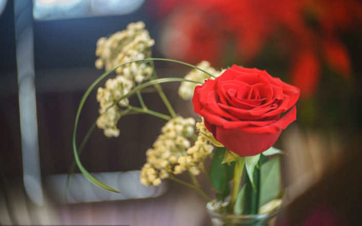 无与伦比是什么意思