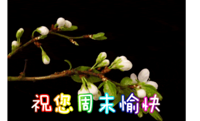周末祝福短信