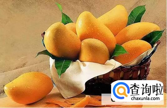 11个月宝宝可以吃芒果吗