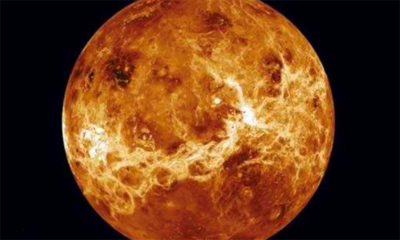 金星属于哪类行星