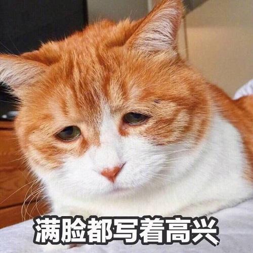 支付宝锦鲤是什么