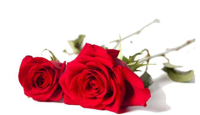 七夕送什么礼物给女孩子