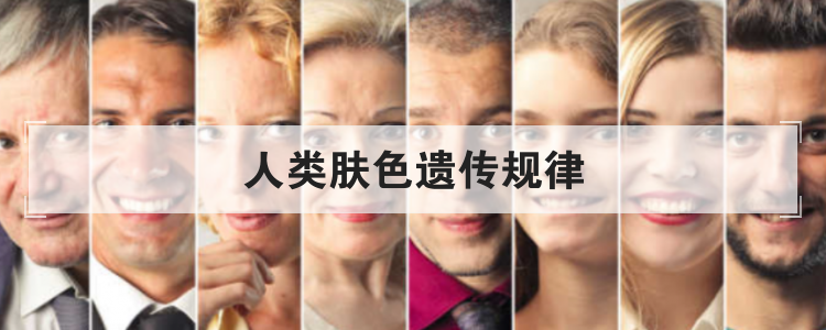 人类肤色遗传规律