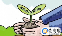 邻接权与著作权的区别有哪些呢？