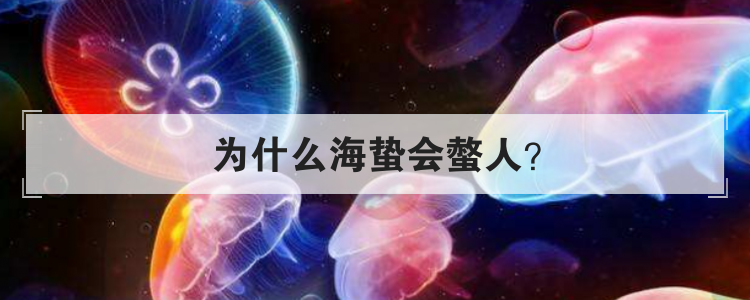 为什么海蛰会螫人