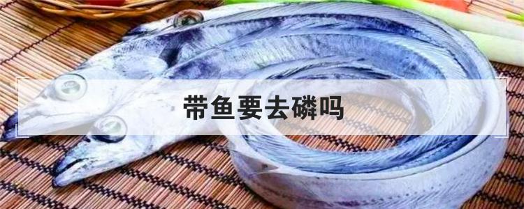 带鱼要去磷吗