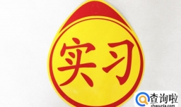 新手应如何使用实习标志