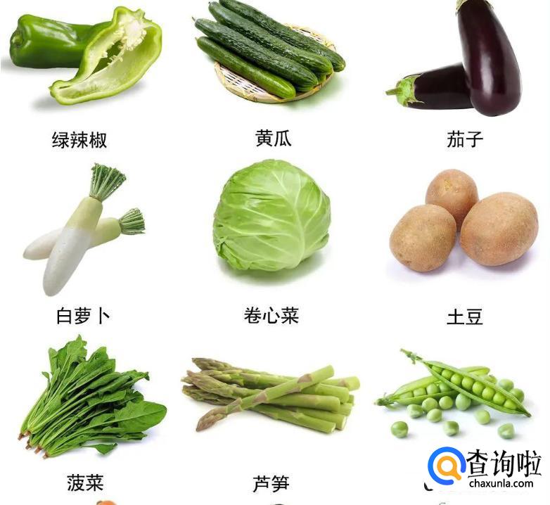 低脂食物类型
