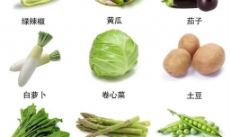 低脂食物类型