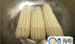 羊驼吃哪些食物