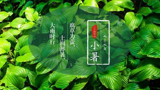 小暑是什么意思