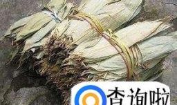 蜂蜜玫瑰凉粽的做法，你学会了吗？
